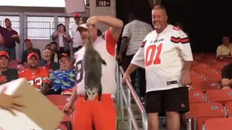 Cleveland-Browns-Possum-777x437.jpg