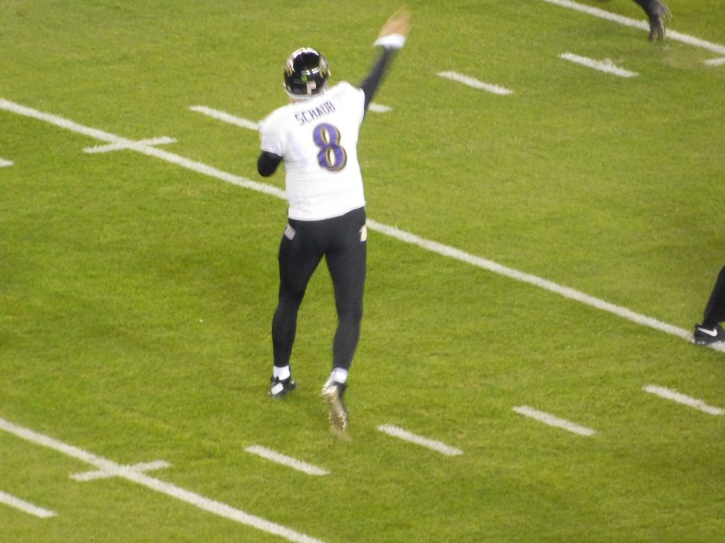 Matt Schaub 