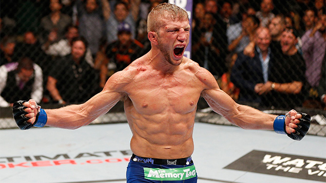 T J Dillashaw Regains Ufc Bantamweight