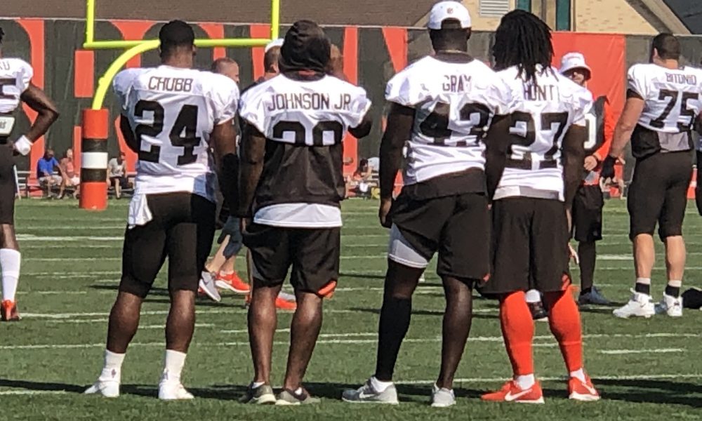 nike air zoom pegasus 36 cleveland browns