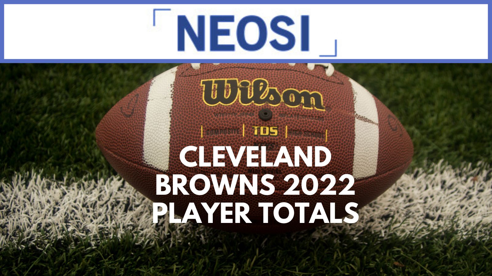 Cleveland Browns 2022 Player Totals