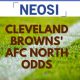 Cleveland Browns' AFC North Odds
