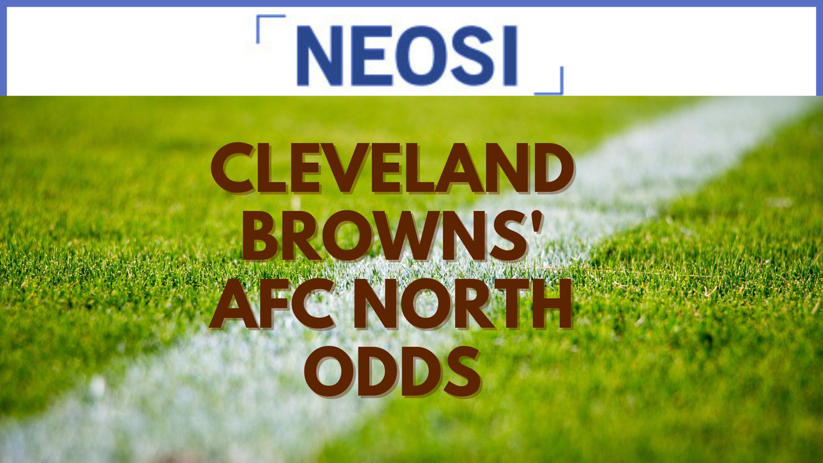 Cleveland Browns' AFC North Odds