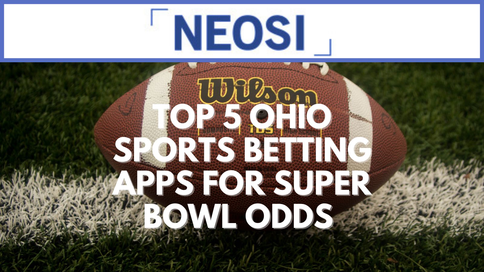 Top 5 Ohio Sports Betting Apps For Super Bowl Odds