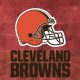 Browns Report card grade